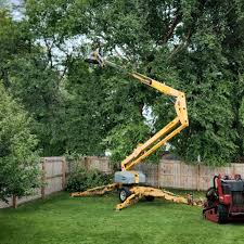 Best Tree Trimming and Pruning  in , IN