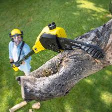 Best Lawn Watering Services  in , IN